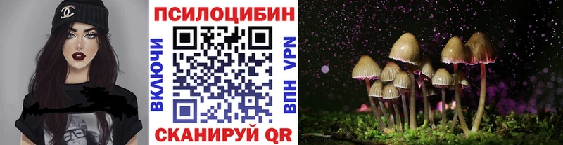 где купить наркоту  Дегтярск  Псилоцибиновые грибы Cubensis 