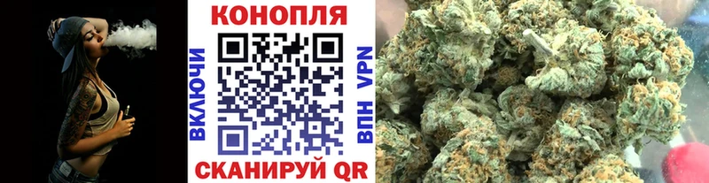 МЕГА как зайти  купить наркотик  Дегтярск  Конопля гибрид 